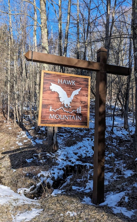 0 Hawk Mountain Rd Unit 5029167, Pittsfield, VT 05762