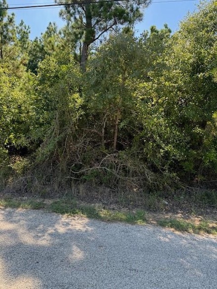 Lot 1355 N Kaupo Dr, Bastrop, TX 78602