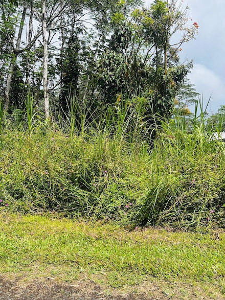 0 Niihau Rd Unit 724299, Nanawale Estates, HI 96778