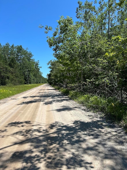 Parcel D Woodmansee Rd, Mullett Township, MI 49721
