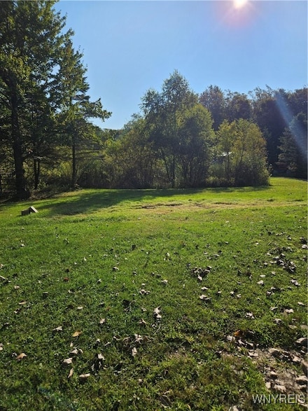 10130 Phillips Rd, Holland, NY 14080