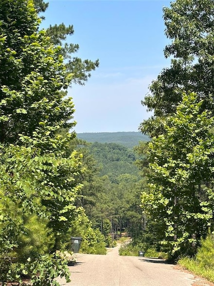 85 Green Apple Trail, Hochatown, OK 74728