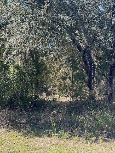 7 Sweetbay Ct, Sugarmill Woods, FL 34446