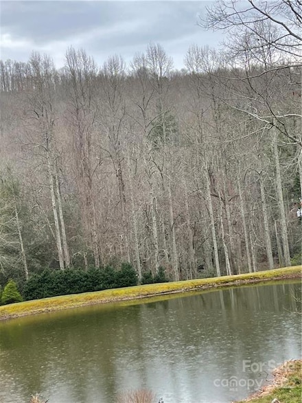 1027 Somersby Pkwy, Laurel Park, NC 28739