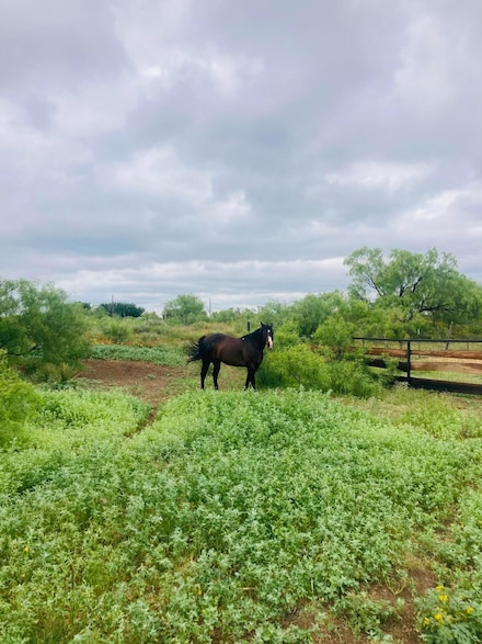 200 Fritch Dr, Fritch, TX 79036