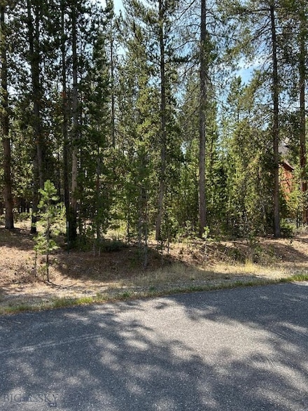 TBD Grouse Ct, West Yellowstone, MT 59758