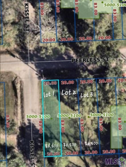 Lot 2 Peerless St, Baton Rouge, LA 70811