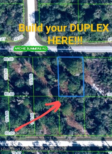1206 Archie Summers Rd, Lake Placid, FL 33852