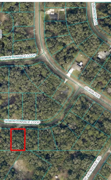 0 Guava Ter Pass, Ocklawaha, FL 32179
