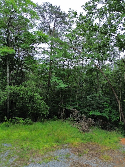 LOT 9 Lookout Dr, Shenandoah, VA 22849