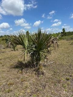 18134 NW 298th St, Okeechobee, FL 34972