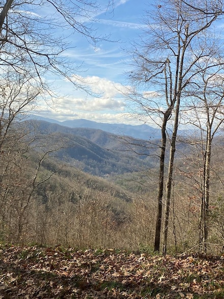 0 Hickory Nut Trail Unit 26034970, Sylva, NC 28779