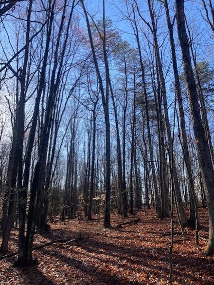 617 Banton Shop Rd Unit A, Dillwyn, VA 23936