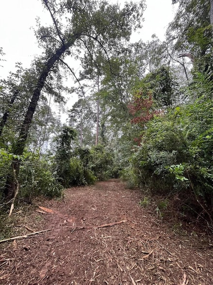 1185 Nolan Felder Rd, Magnolia, MS 39652