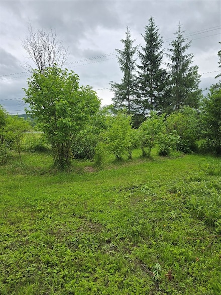 1686 Hanshaw Rd, Ithaca, NY 14850