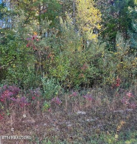 11424 Watkins Rd E, Loudon, TN 37774