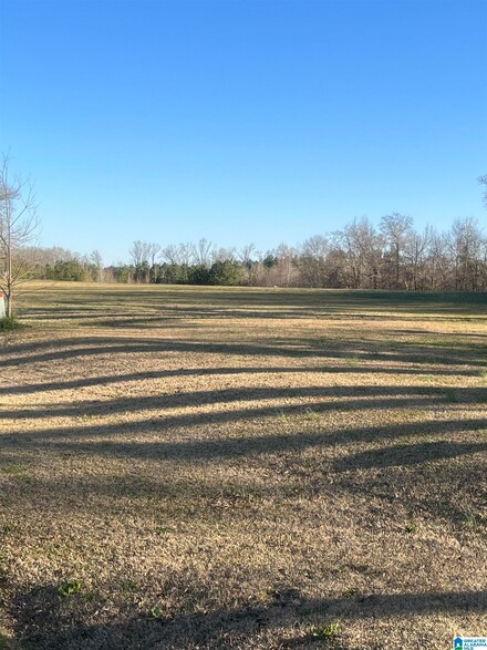 2778 County Road 13, Clanton, AL 35045
