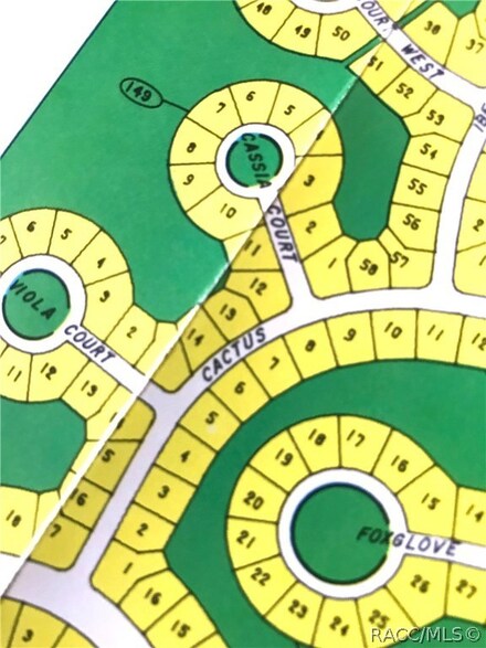 13 Cactus St, Sugarmill Woods, FL 34446