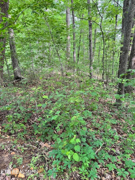 0 Prettiest Sunset Lot #5 Way, Seymour, TN 37865