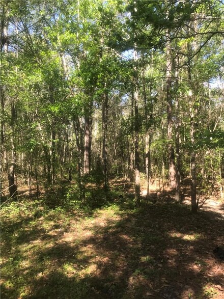 TBD Ginger Ln, Ragley, LA 70657