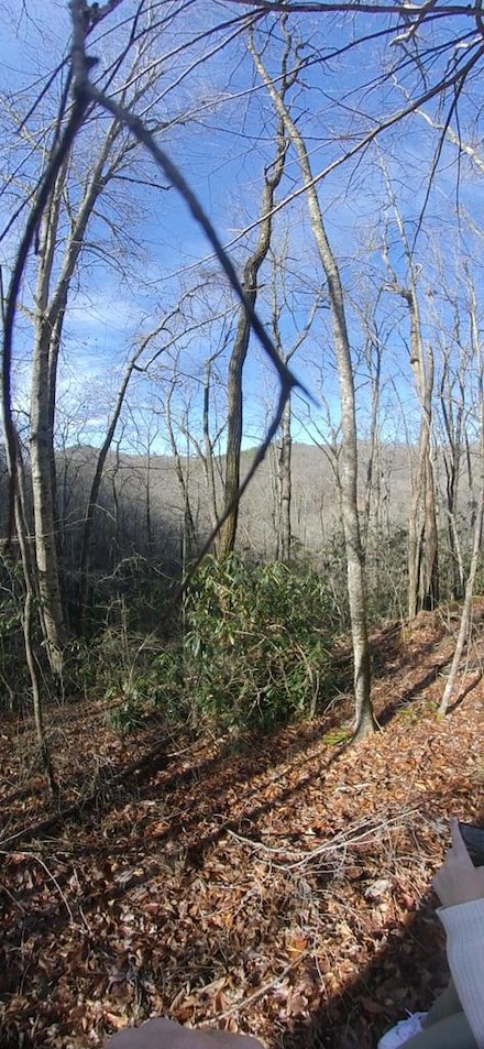 Lot 33 Manna Way, Sylva, NC 28779