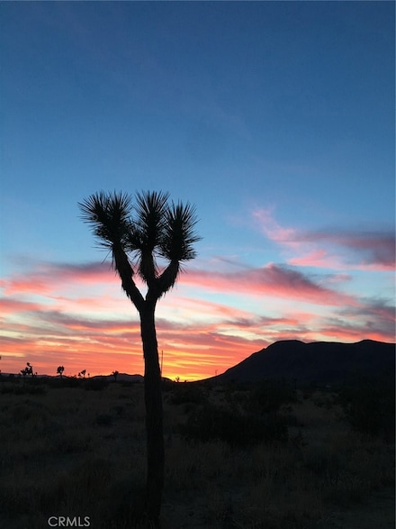 59990 Mitch Ln, Landers, CA 92285