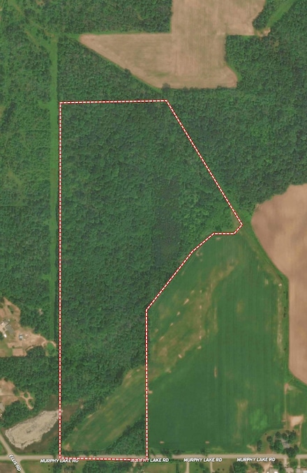 4600 Murphy Lake Rd, Millington, MI 48746