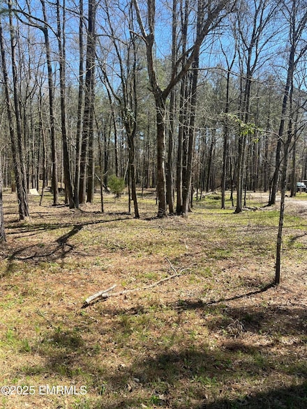 1204 L Ratliff Ferry Rd, Canton, MS 39046