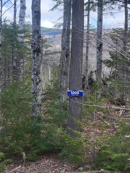 1005 Apres Way, Carrabassett Valley, ME 04947