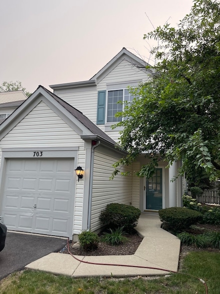 703 Blossom Ct Unit 286, Naperville, IL 60540