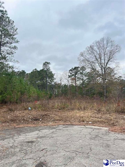 701 E Butler Ln, Florence, SC 29505