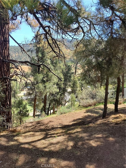 1400 Pinetree Dr, Frazier Park, CA 93225