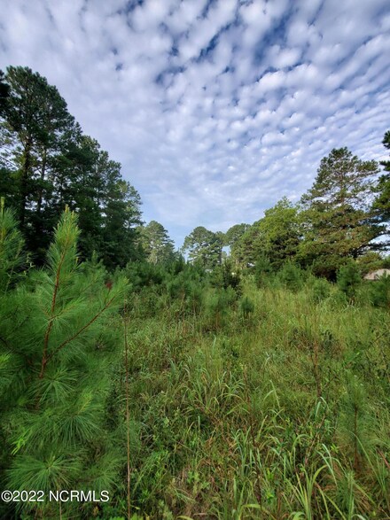 00 N North Carolina Hwy 58, Pollocksville, NC 28573