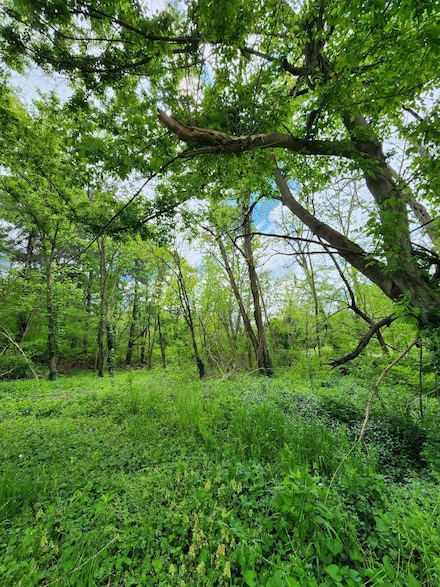 0000 Rineyville-Big Springs Rd, Rineyville, KY 40162