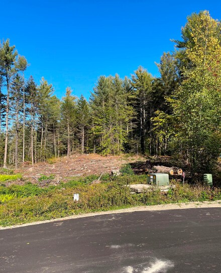 14 Holly Ln Unit 14, Thornton, NH 03285