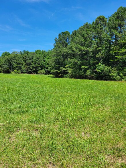 0 County Road 1367, Vinemont, AL 35179