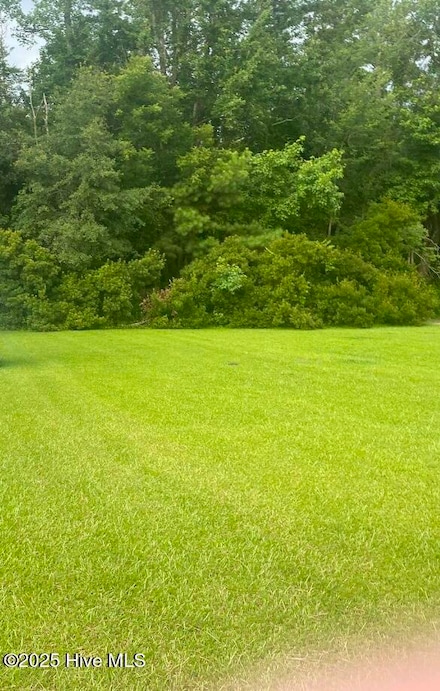 702 Conway Rd, Fair Bluff, NC 28439