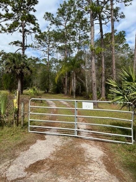 830 Doe Dr E, Osteen, FL 32764