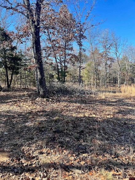 451 Zane Dr, Clarkridge, AR 72653