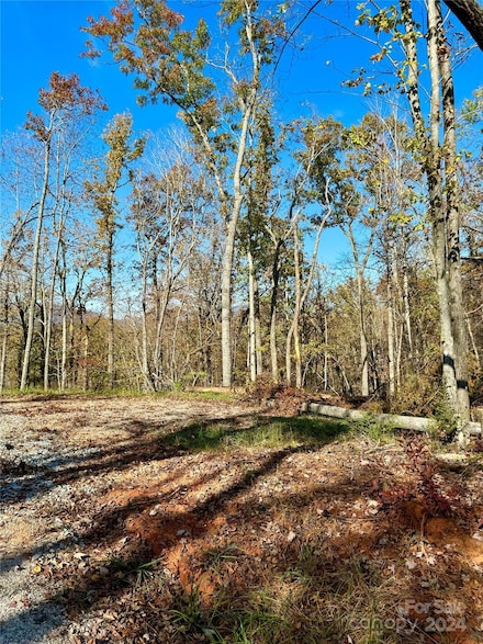 19 Warren Ridge Dr Unit 1, Old Fort, NC 28762