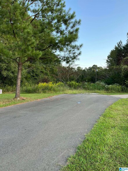 lots 19-20 Cotton Cir Unit 19 & 20, Vincent, AL 35178