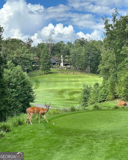 Lot 144 Hickory Way, Mineral Bluff, GA 30559