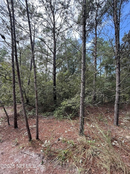 00 Banana Ave, Welaka, FL 32193