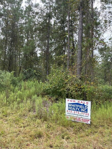 00 St Andrews & Cemetery Rd, Douglas, GA 31519