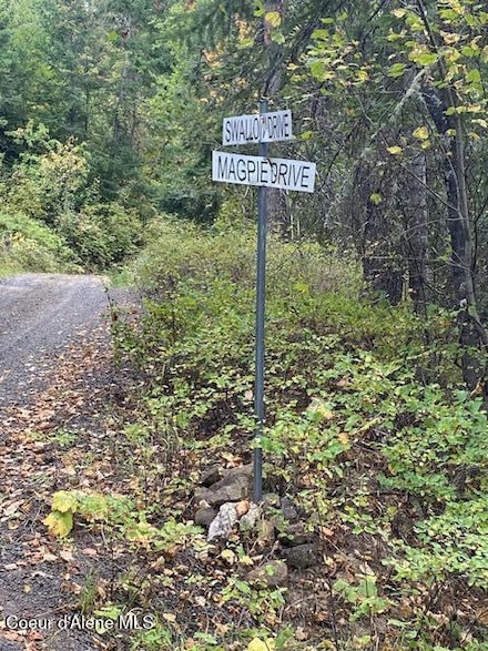 NKA E Fly Catcher Lots 11 12 Rd, St. Maries, ID 83861