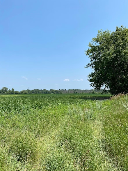 TBD Minnesota 65, Stanchfield Township, MN 55006