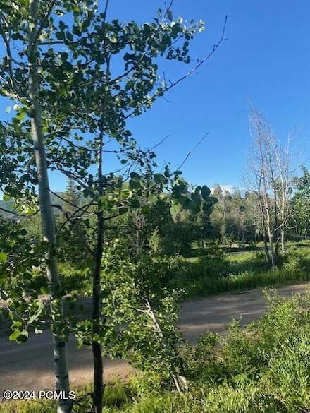 969 W Deep Forest Rd, Wanship, UT 84017