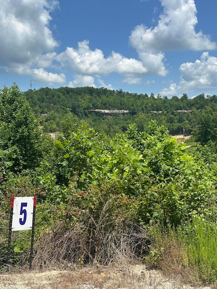 Lot 5 Sleepy Hollow Rd, East Bernstadt, KY 40729