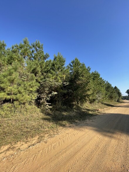 TBD County Road 546, Woden, TX 75961