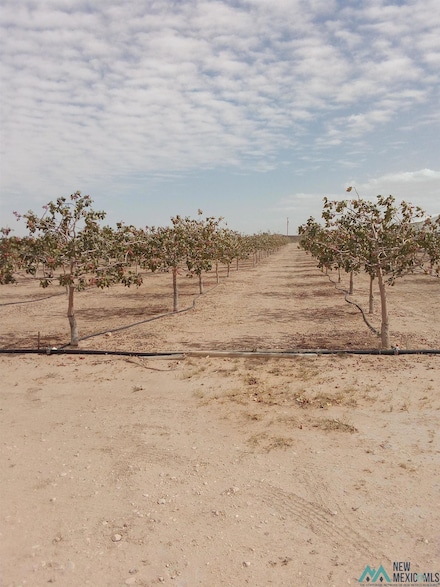7074 Kevil Rd, Carlsbad, NM 88220